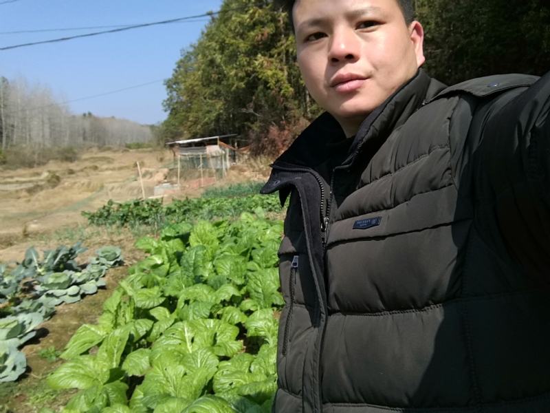 倔强的驴的第一张照片--建宁交友网