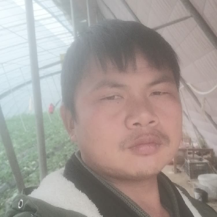 孤狼‘的第一张照片--建宁交友网