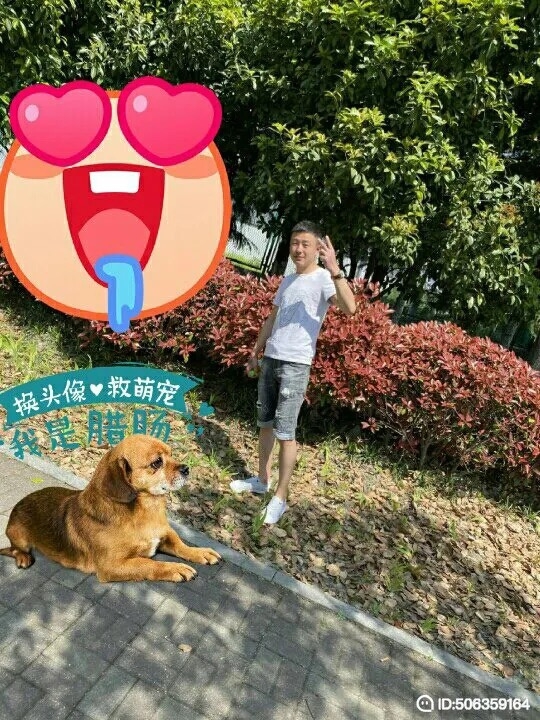 我若不坚强谁替我勇敢的第一张照片--建宁交友网
